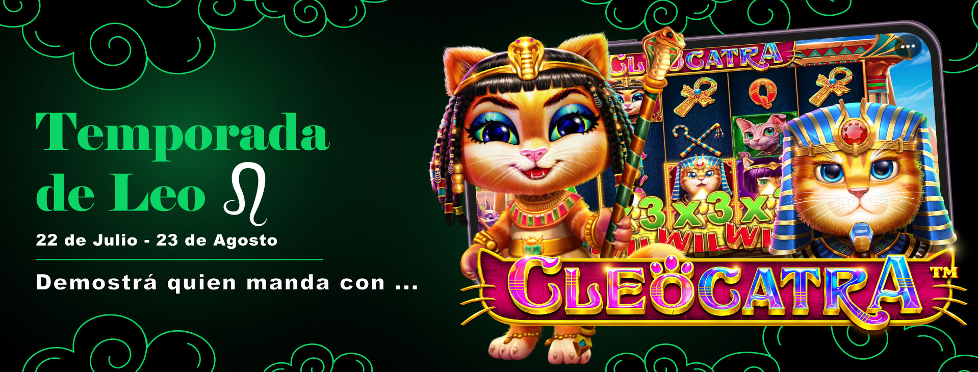 Banner Cat
