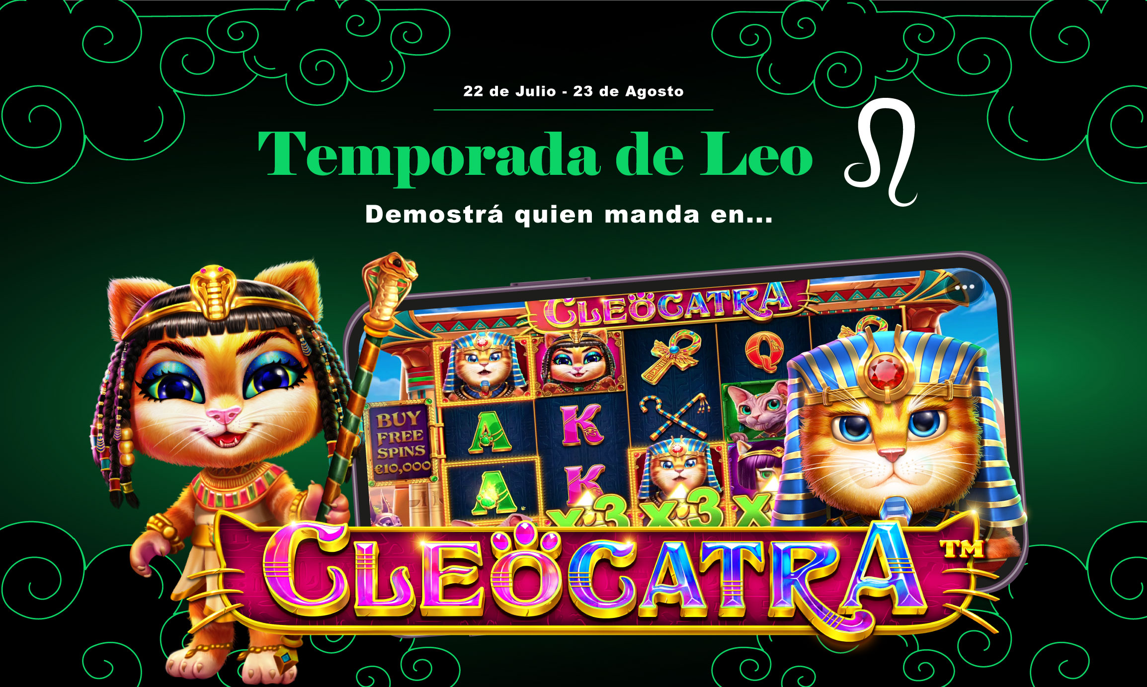 Banner Cat